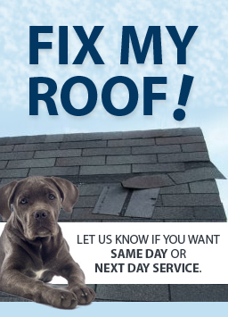 fixmyroof (1)