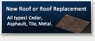 Roofing Contractor